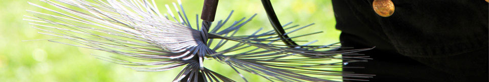 Banner - Michael Büntemeyer